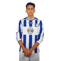 rkvvdommelen football voetbal zaterdag2 rkvvdommelen Sticker