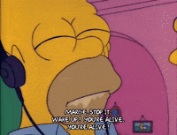 Season 2 GIF by The Simpsons