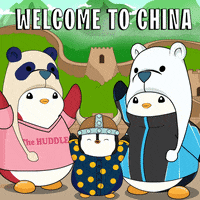 China Team GIF by Pudgy Penguins
