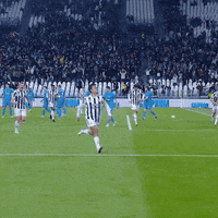 GIF by JuventusFC
