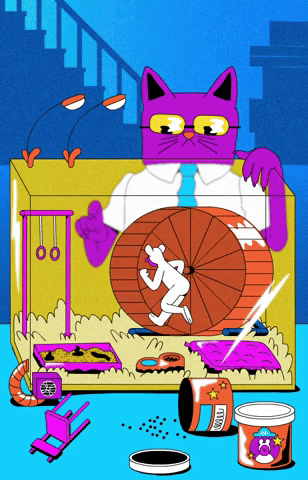 Pet