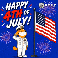 Crypto Usa GIF by BONK