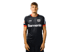 Bayer 04 Werkself Sticker by Bayer 04 Leverkusen