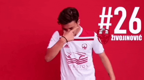 fcvozdovac football goal score savage GIF