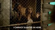 comedy central season 3 episode 20 GIF by Workaholics