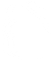 Check This Out Look Here Sticker by leeandracianci