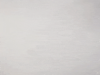 Andrew Yang Lol GIF by ALL SEEING EYES