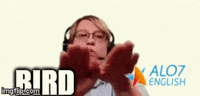 bird esl GIF by ALO7.com