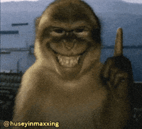 Monkey GIF