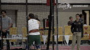 north dakota state bison GIF by NDSU Athletics