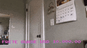 ain-global  GIF