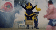 Central Coast Mariners Soccer GIF