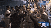 Wil Myers Baseball GIF by MLB