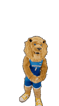 New York Basketball Sticker by Hofstra University