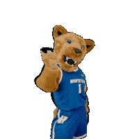 New York Basketball Sticker by Hofstra University