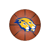 New York Basketball Sticker by Hofstra University