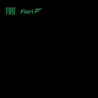 fiori_fiat atendimento fiori fiat atendimento online GIF