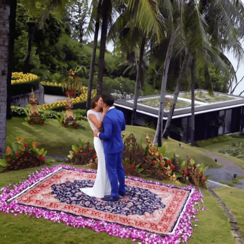 GIF by The Bachelor Australia