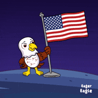 Usa Flag GIF by VeeFriends