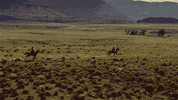 GIF by Westworld HBO
