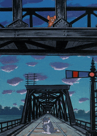 tom cat GIF