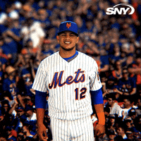 new york mets GIF by SNY