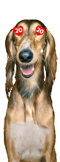 20Let Sticker by Super zoo