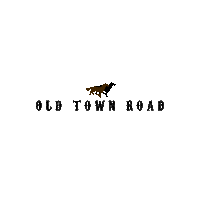 old town road horses in the back Sticker by Billy Ray Cyrus