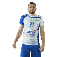 vervawarszawa power volleyball volley pallavolo Sticker