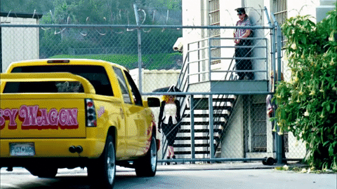 LivHendo giphygifmaker GIF