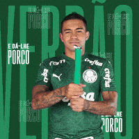 Happy Feliz GIF by SE Palmeiras