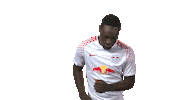 rb leipzig dancing Sticker by Bundesliga