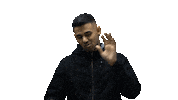 Raise The Roof Sticker by Jaz Dhami