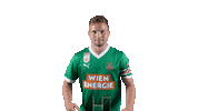 Rapid Wien Bundesliga Sticker by SK Rapid