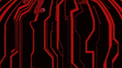 GIF by MAJOR LAZER