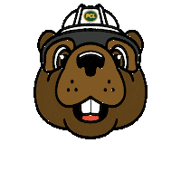 pcl_construction construction beaver pcl constructionlife Sticker