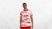 Champions League Football GIF by RB Leipzig