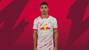 Proud Andre Silva GIF by RB Leipzig