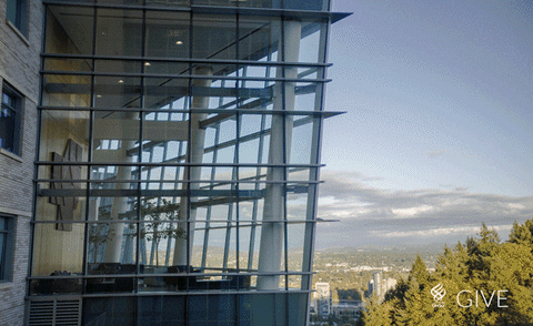 ohsusocial giphyupload GIF