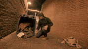 Happy Pet GIF by Better Noise Music