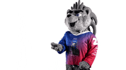 Sport Mascot GIF by FinHockey