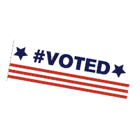 Vote Voting Sticker by BoxLunch