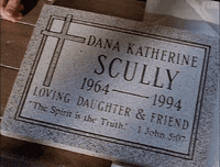 x files GIF by The X-Files