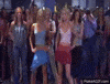 white chicks GIF