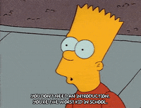 Season 1 GIF by The Simpsons