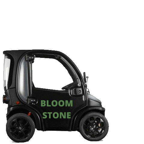 Bloomstone real estate home amsterdam for sale Sticker