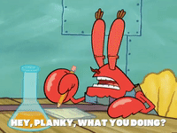 season 5 GIF by SpongeBob SquarePants