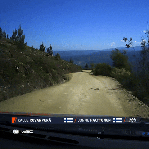 Wrc GIF by FIA World Rally Championship