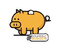 Budget Sticker by digibankindia
