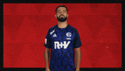 Schalke 04 Football GIF by Bundesliga